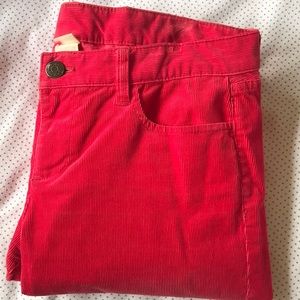 J Crew Hot Coral Corderoys